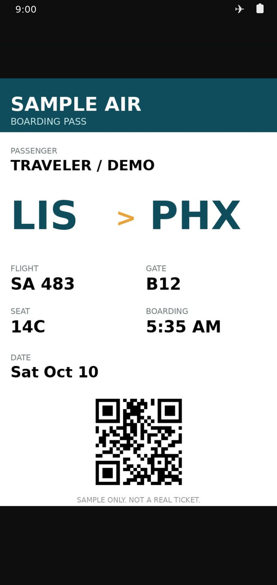 A boarding pass opened from a day card with no internet connection